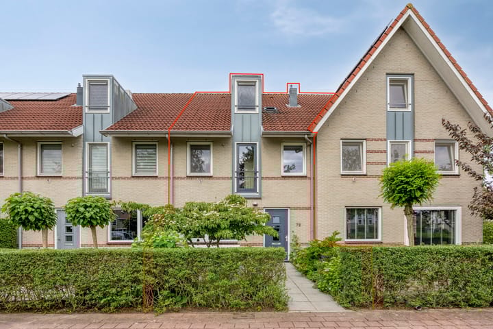 Foto 1 van Valeriaan 72