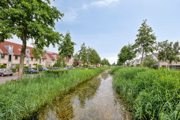 Foto 36 van Valeriaan 72