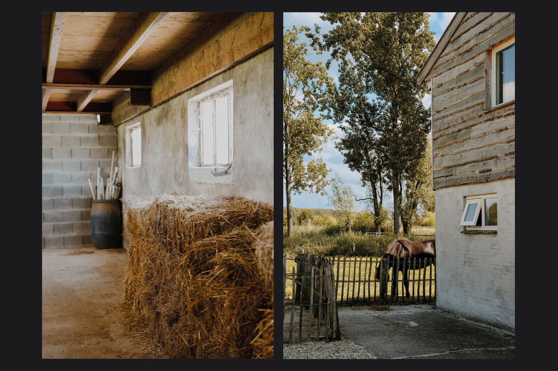 Photo 45 of Langbroekerdijk B 36