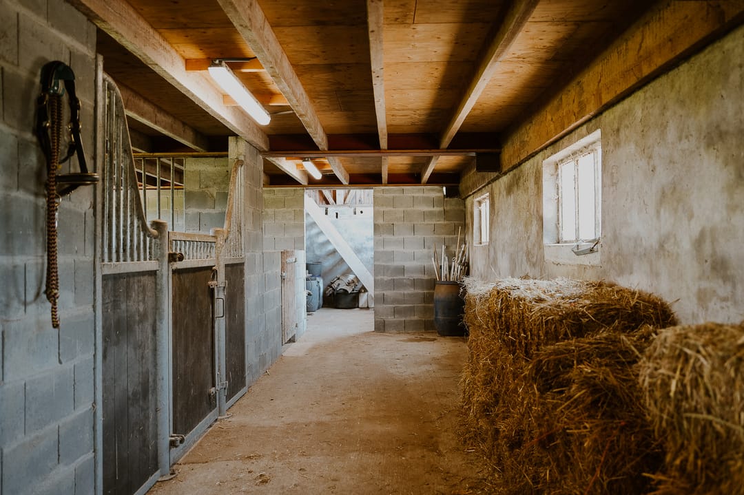 Photo 47 of Langbroekerdijk B 36