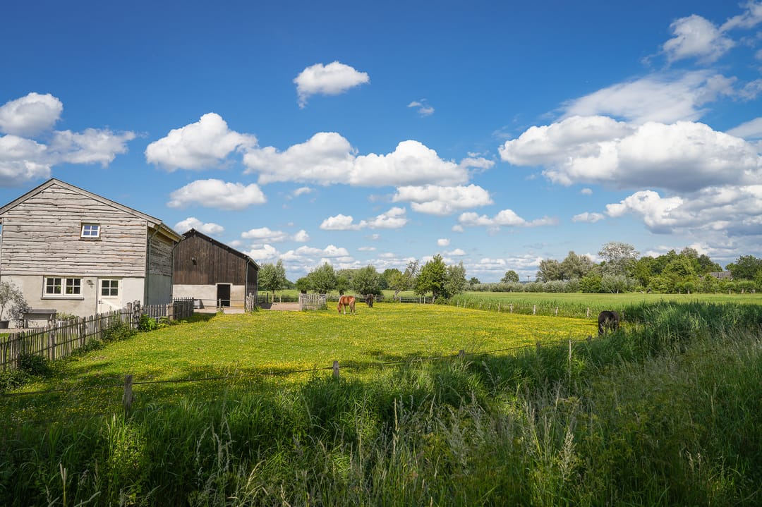 Photo 73 of Langbroekerdijk B 36