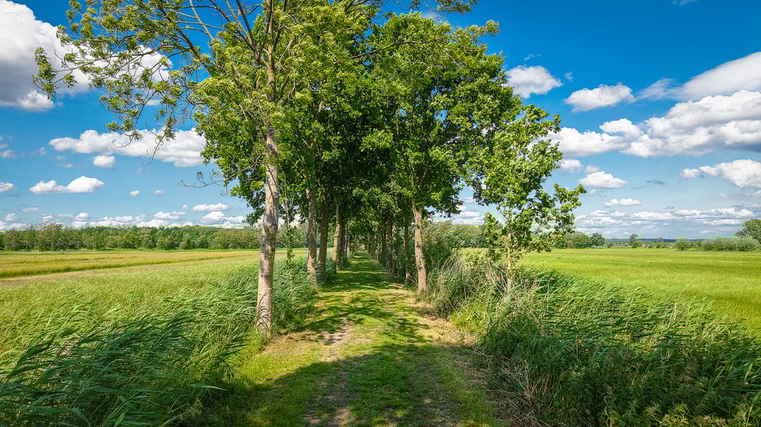 Photo 76 of Langbroekerdijk B 36