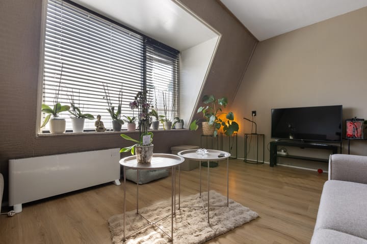 Foto 7 van de Ververt 1050