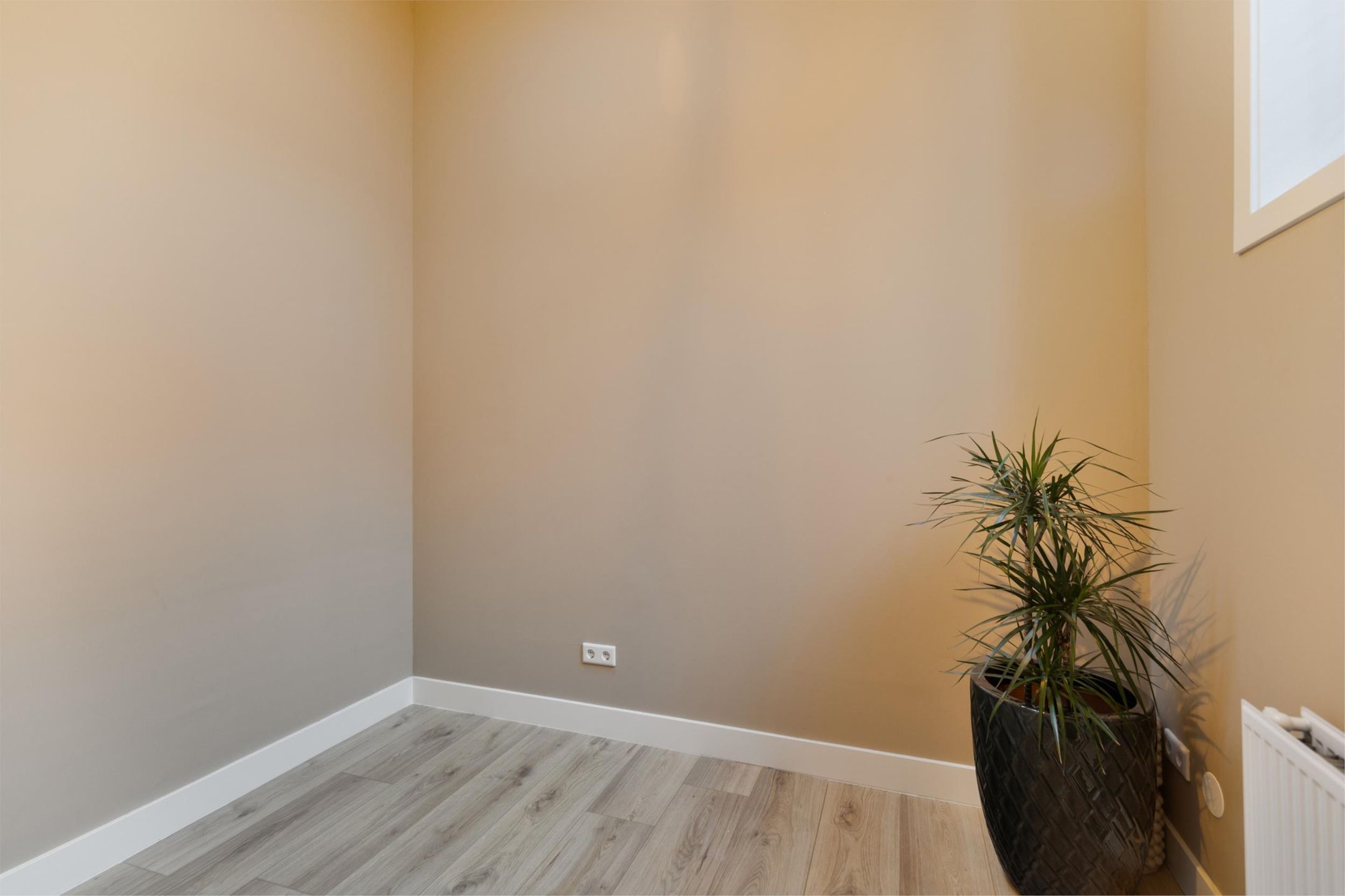 Foto 9 van Voorstraat 266-B