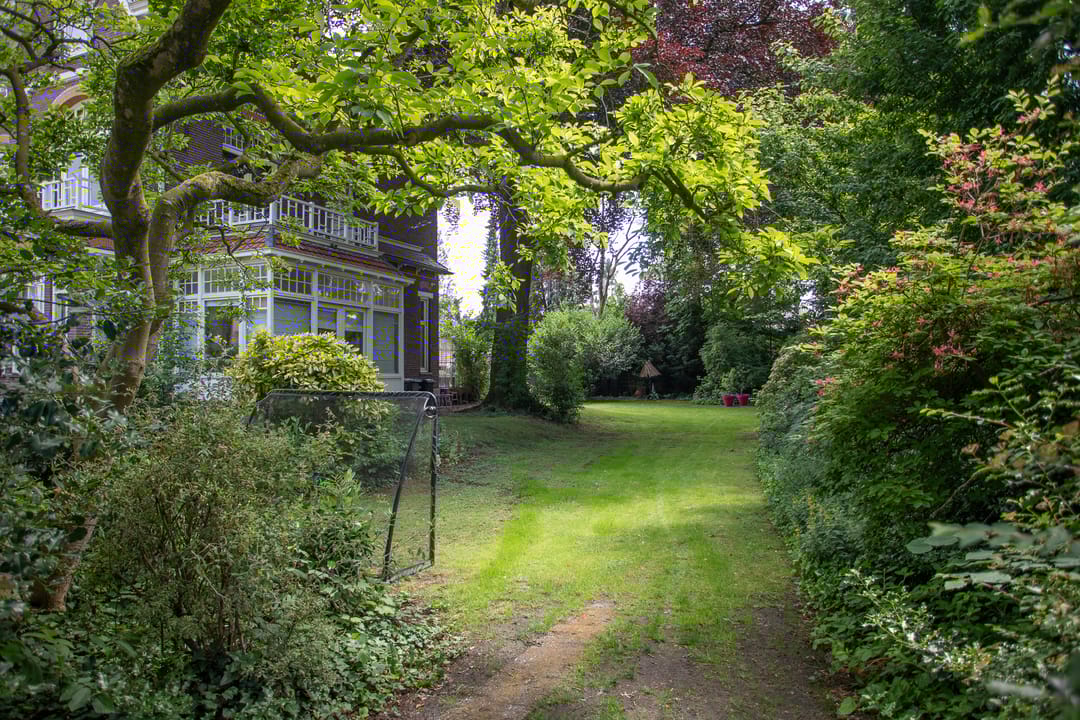 Foto 67 van Wierdensestraat 118