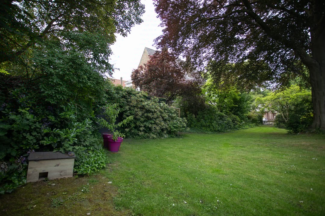 Foto 77 van Wierdensestraat 118