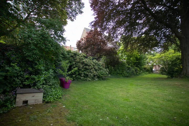 Foto 77 van Wierdensestraat 118