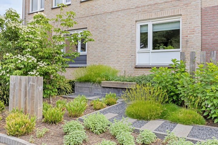 Photo 7 of Sterappel 12