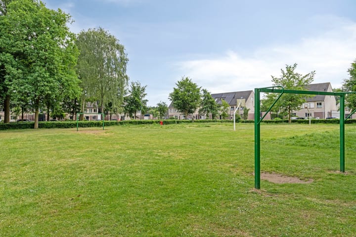 Photo 40 of Sterappel 12