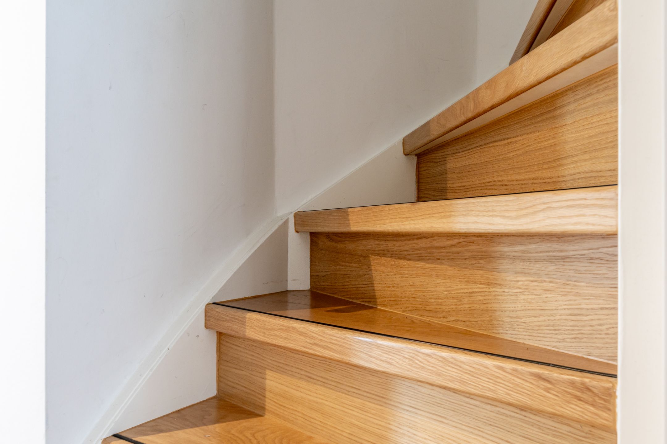 Foto 24 van Leermos 30