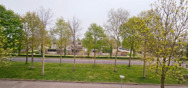 Foto 54 van Suze Robertsonstraat 27