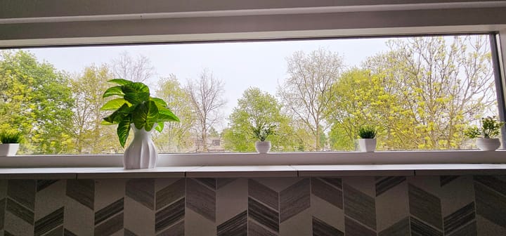 Foto 53 van Suze Robertsonstraat 27