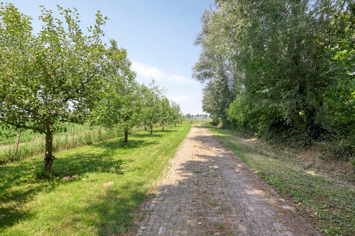 Foto 50 van Berghemseweg 16