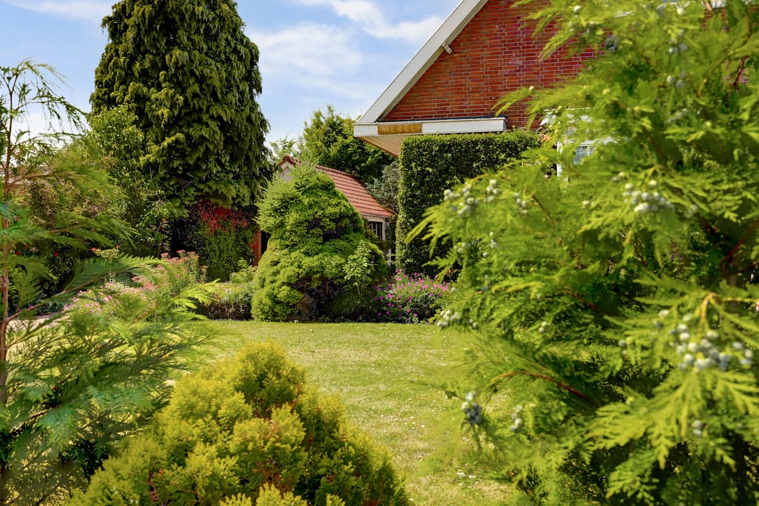 Photo 41 of Zandweg 47