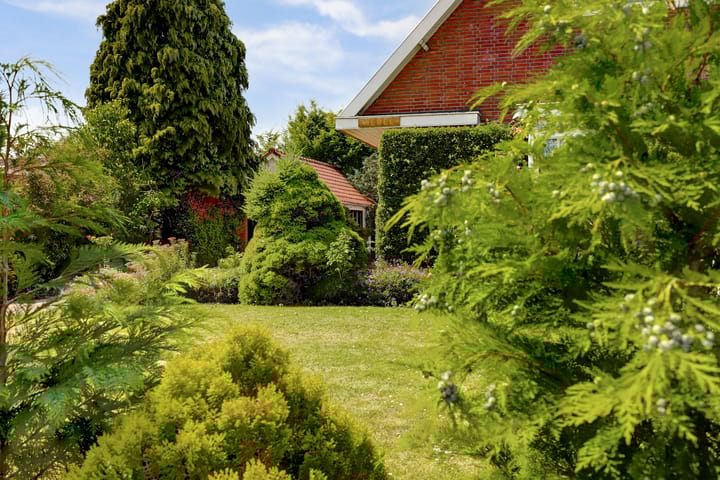 Foto 41 van Zandweg 47