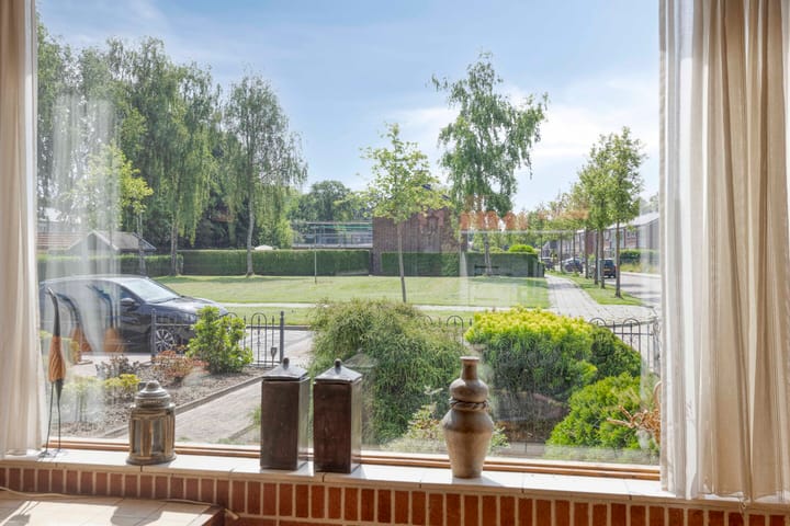 Foto 12 van Dahlia-strjitte 29