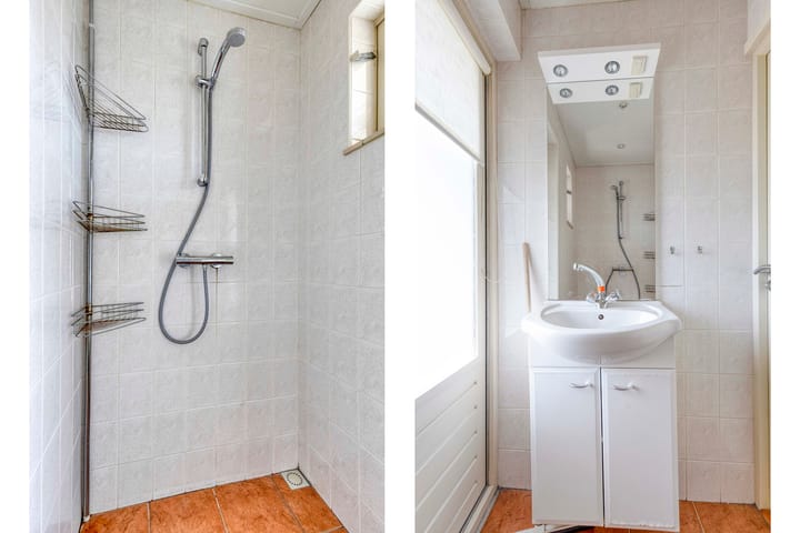 Foto 19 van Dahlia-strjitte 29