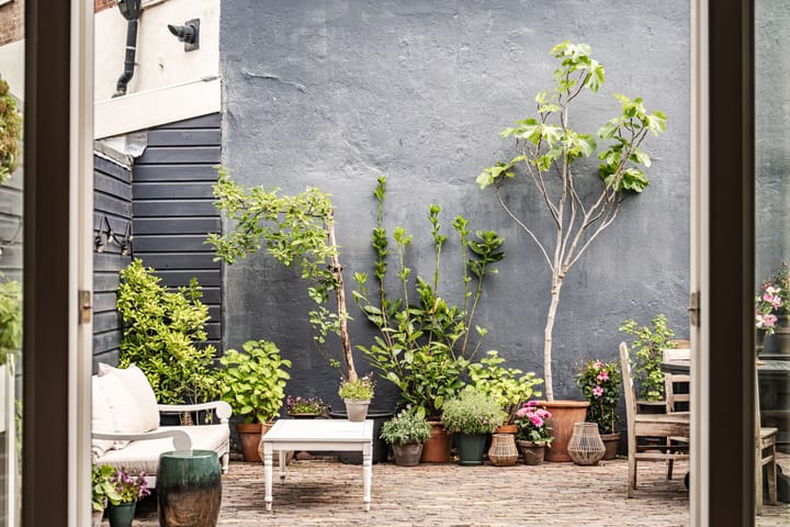 Foto 19 van Ipenrodestraat 15