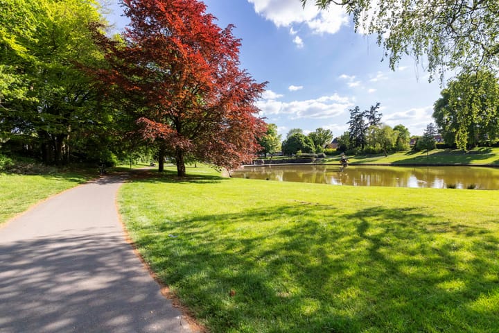 Foto 27 van Henri Dunantlaan 153