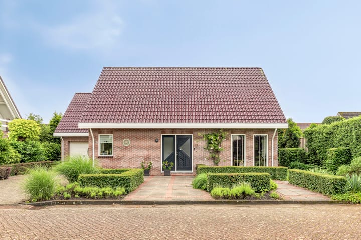 undefined main image