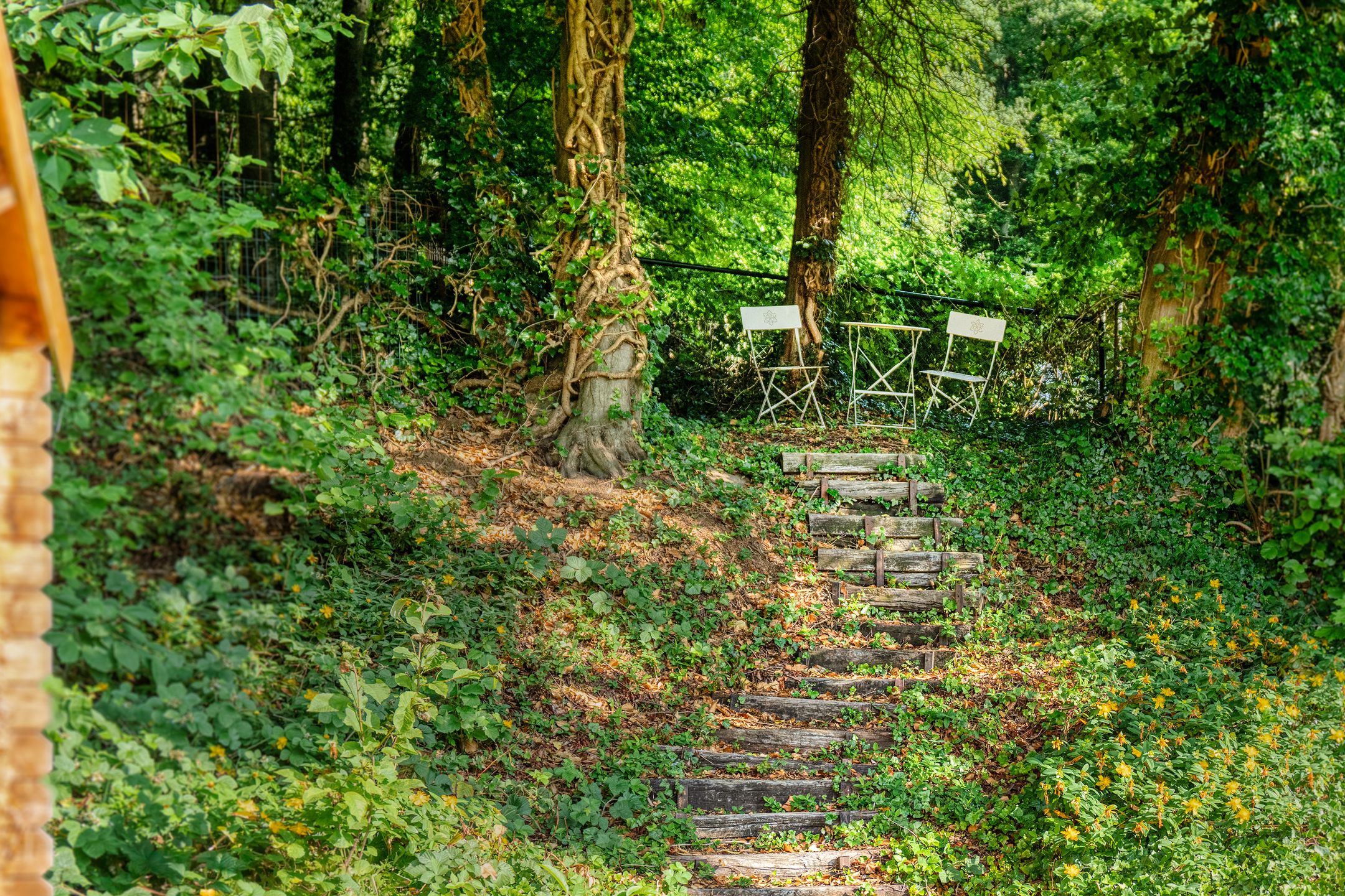 Foto 42 van Rimburgerweg 255