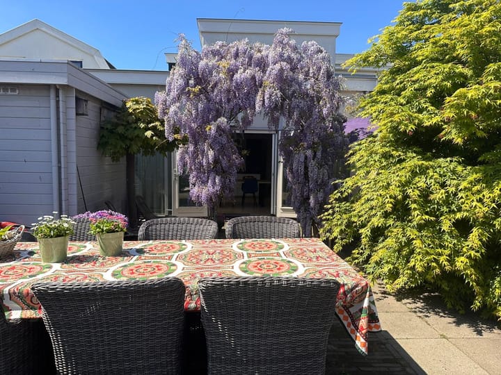 Foto 43 van Burgemeester Colijnstraat 107