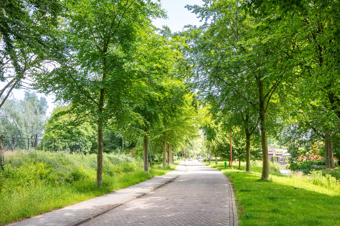 Foto 49 van Guldenroede 3