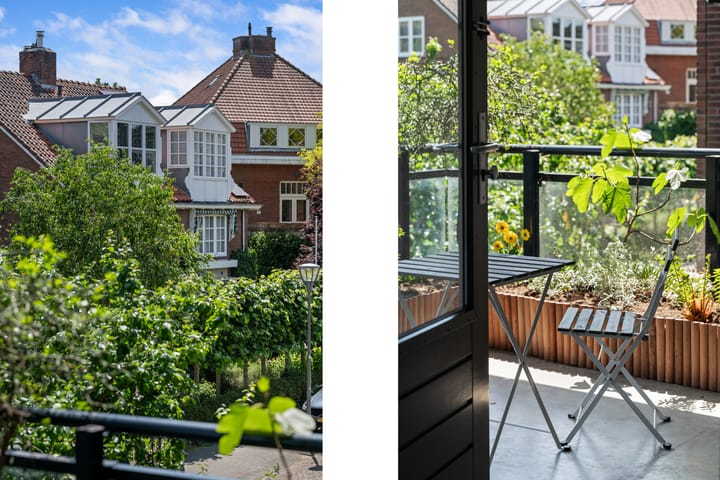 Foto 15 van Merulaweg 1-D