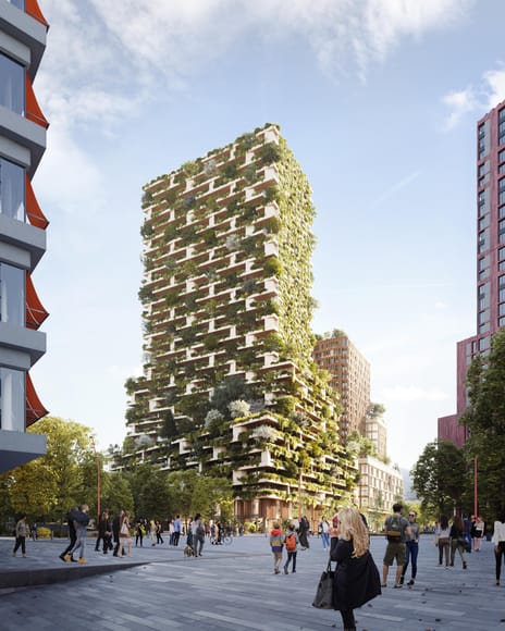 Wonderwoods main image