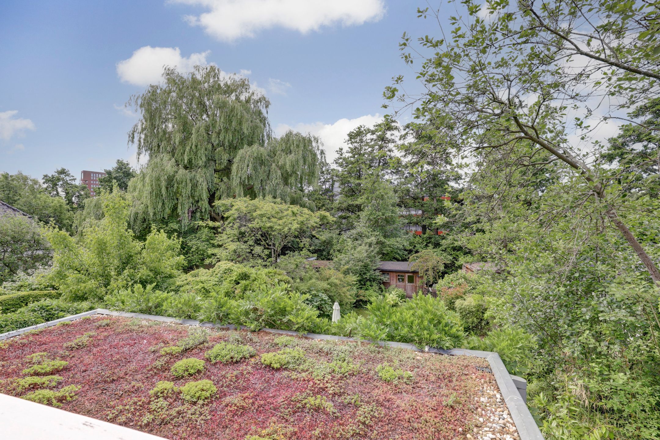 Foto 18 van Ridder van Catsweg 79