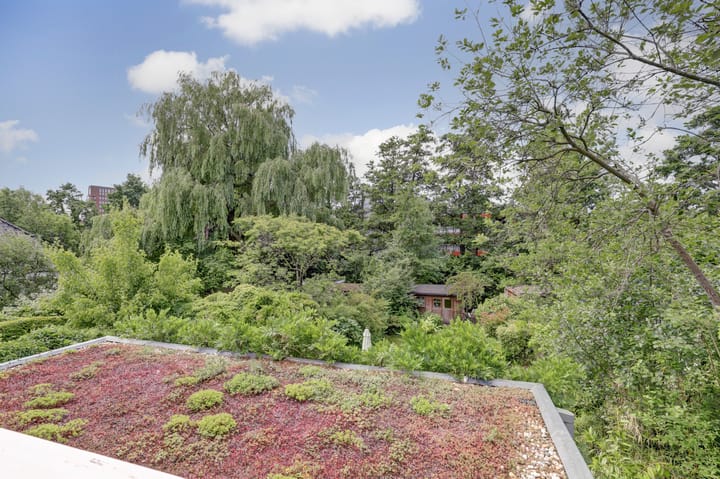 Foto 18 van Ridder van Catsweg 79