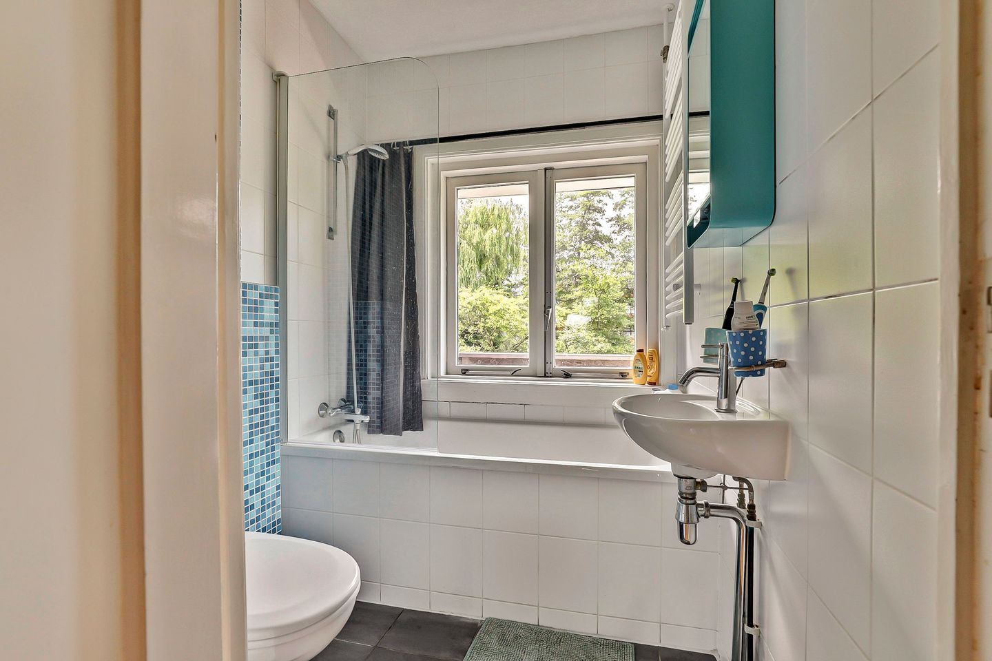 Foto 19 van Ridder van Catsweg 79