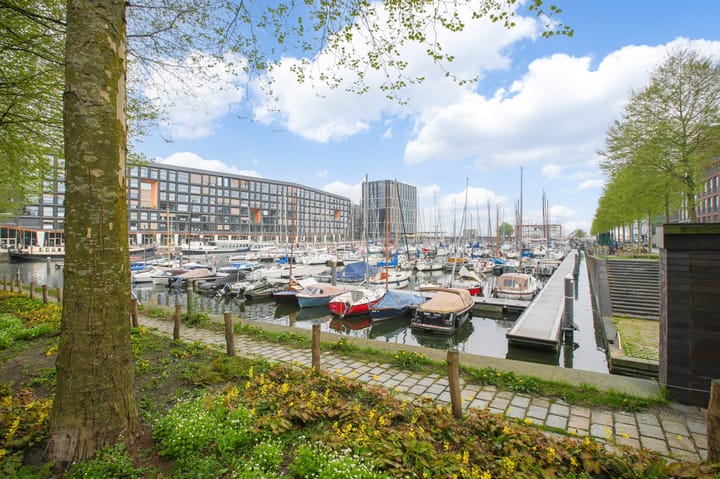 Photo 31 of Eva Besnyöstraat 67