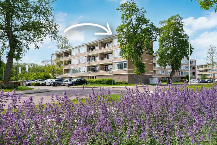 Foto 1 van Adriaen Lauwereyszstraat 91