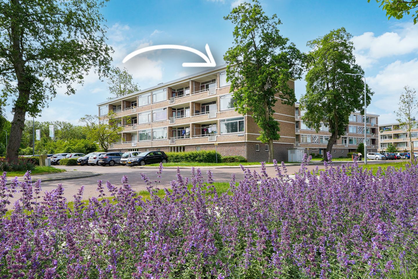 Foto 1 van Adriaen Lauwereyszstraat 91