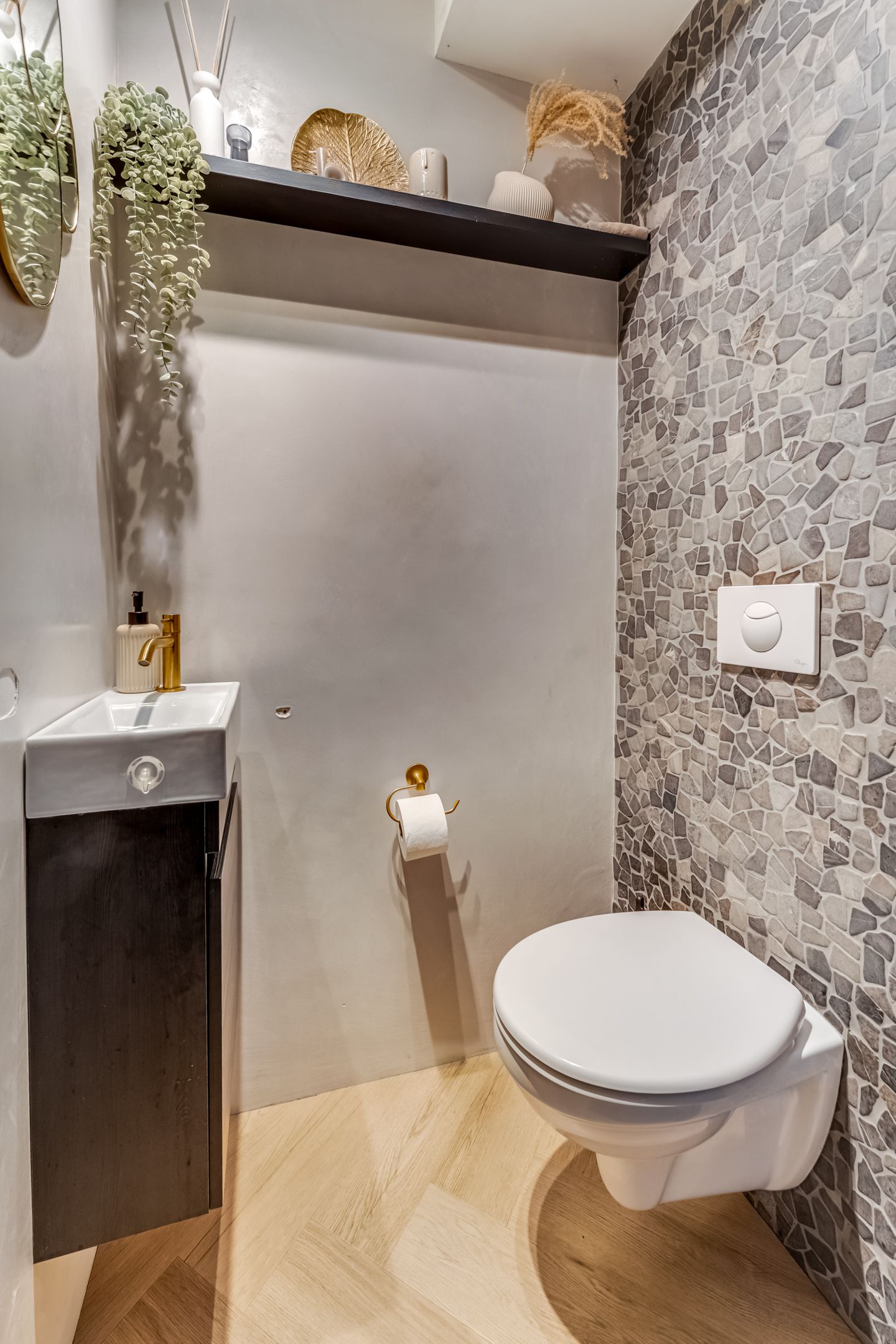 Photo 15 of Spinozastate 43