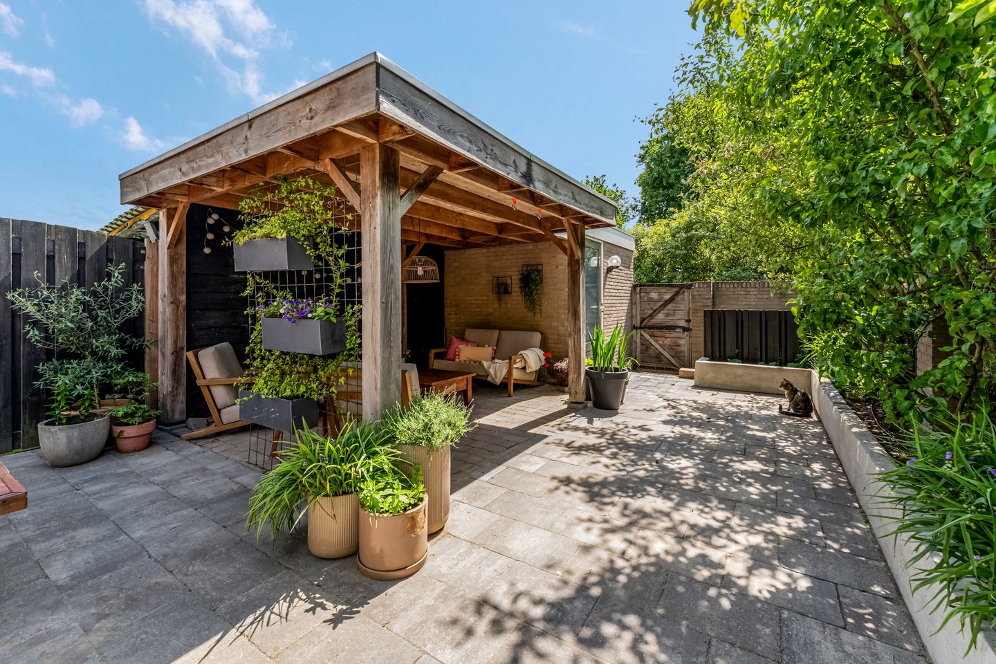 Photo 29 of Spinozastate 43