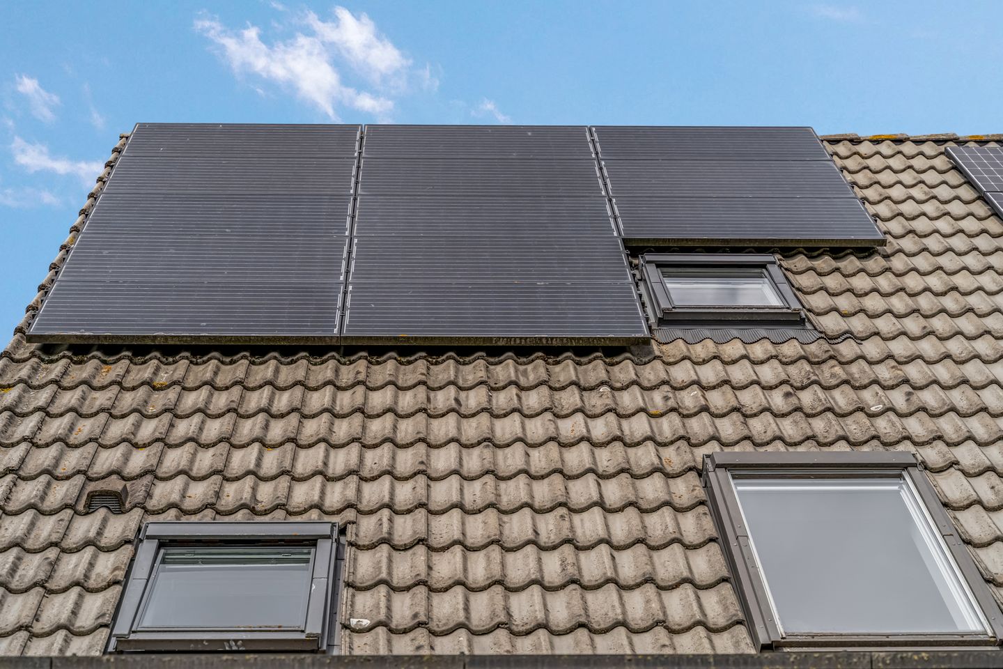 Photo 35 of Spinozastate 43