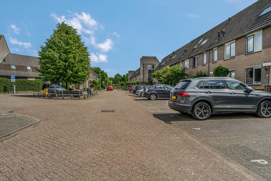 Photo 43 of Spinozastate 43