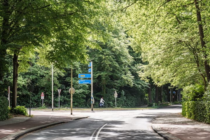 Foto 35 van Nachtegalenlaan 12