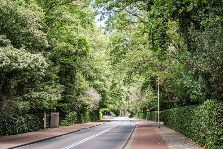 Foto 52 van Nachtegalenlaan 12