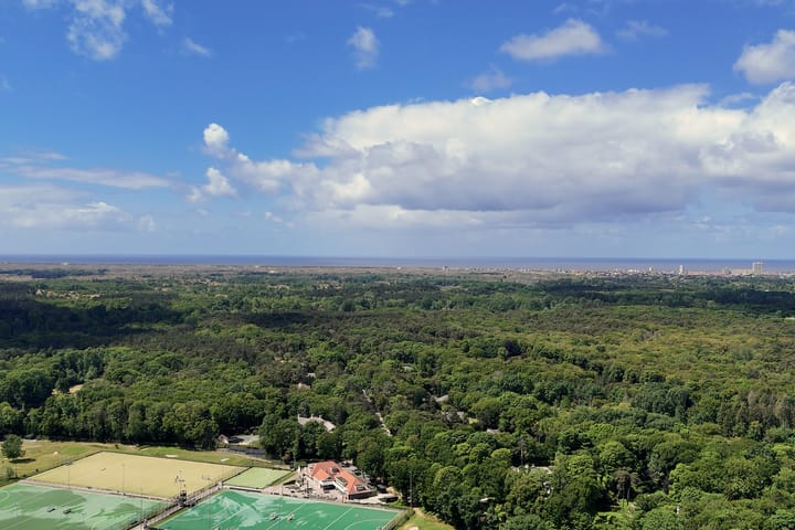 Foto 60 van Nachtegalenlaan 12