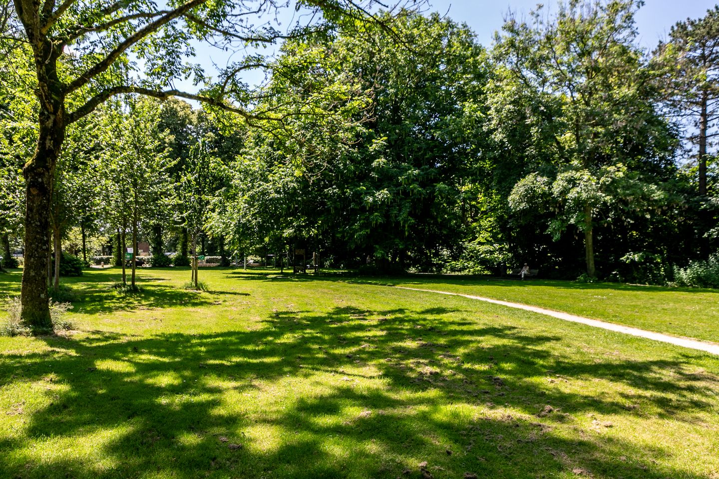 Foto 25 van Boogstraat 20