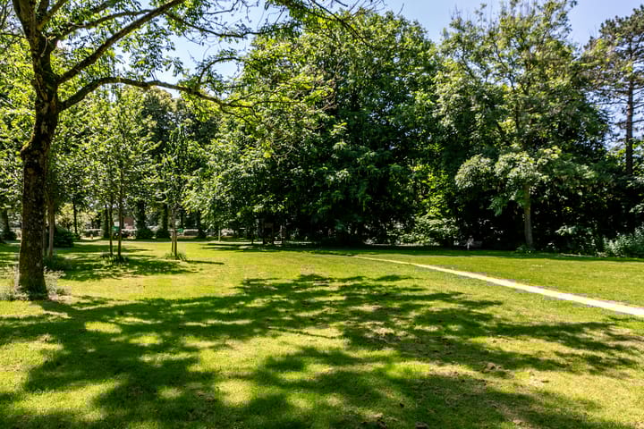 Foto 25 van Boogstraat 20