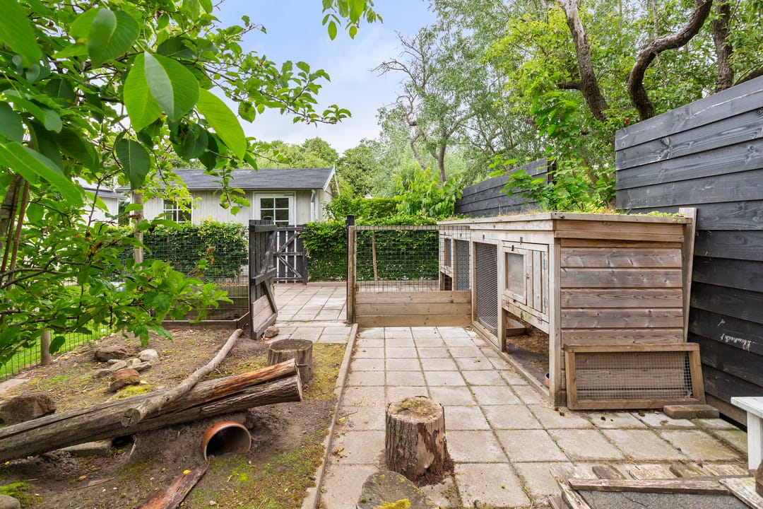 Foto 46 van Krakestee 8