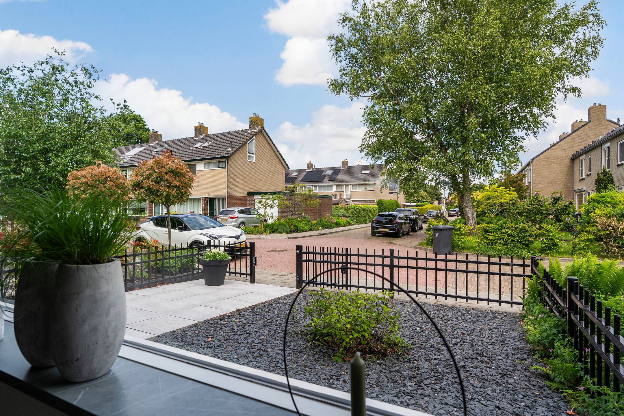 Photo 39 of Schierstins 12