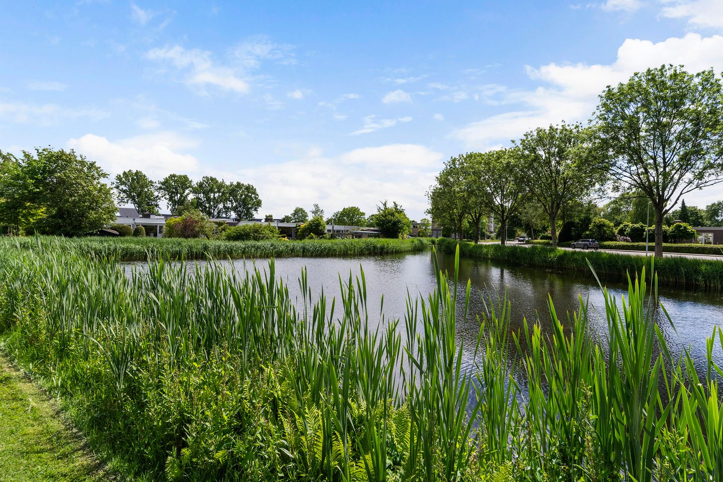 Photo 44 of Schierstins 12