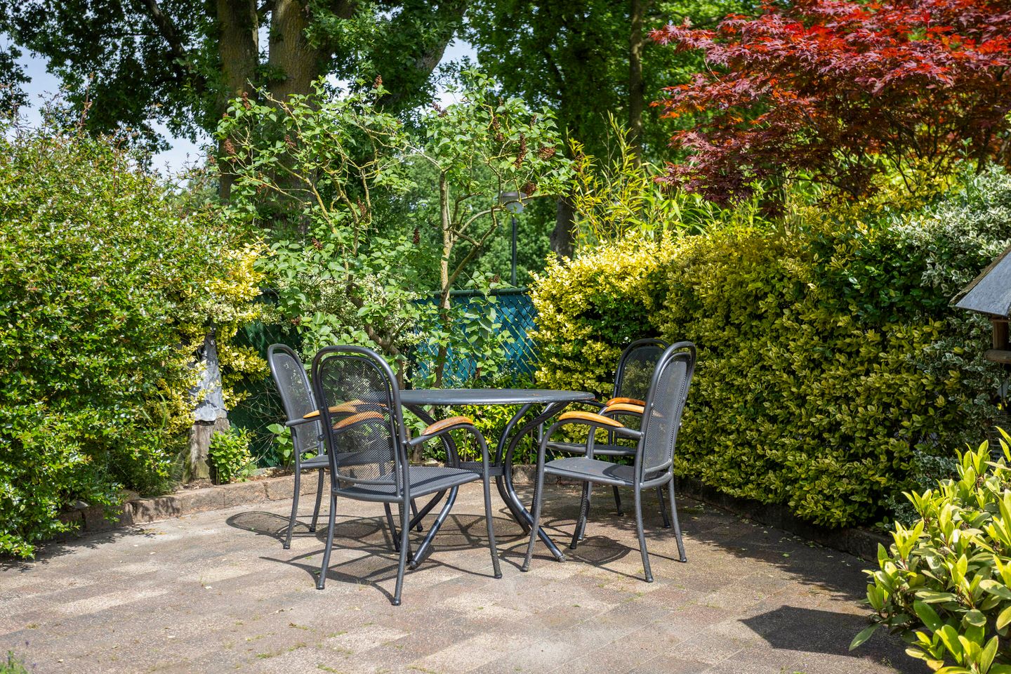 Foto 20 van Varda 24