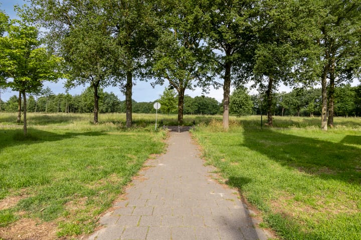 Foto 24 van Varda 24