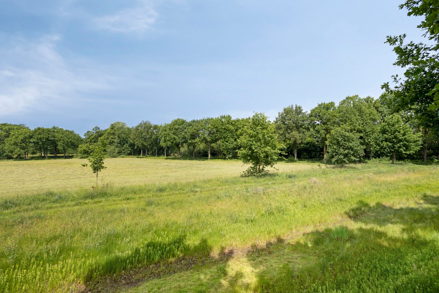 Foto 25 van Varda 24